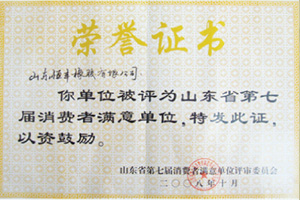 Shandong Hengfeng Rubber & Plastic Co., Ltd.
