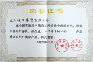Shandong Hengfeng Rubber & Plastic Co., Ltd.
